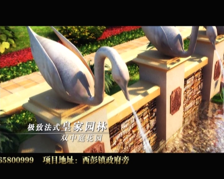 &#20339;&#21338;&#23448;&#26041;&#32593;&#39029;&#29256;&#45;&#20339;&#21338;&#65288;&#20013;&#22269;&#65289;
