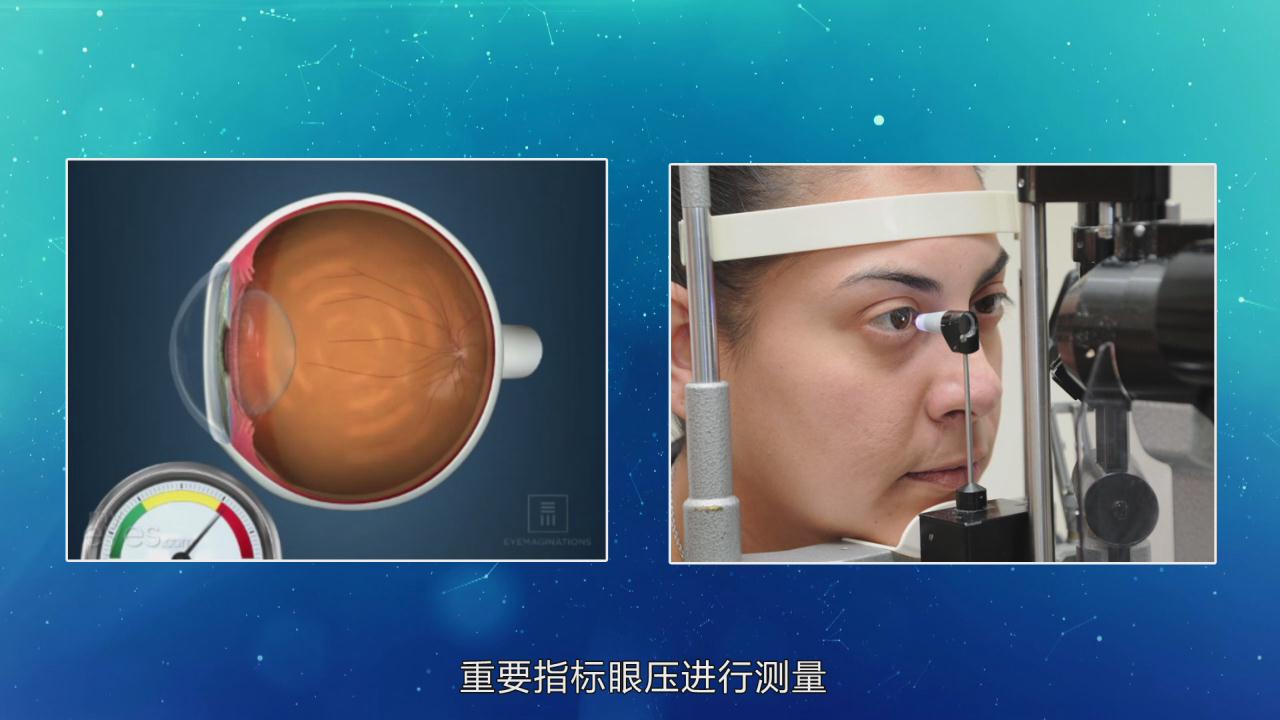 &#20339;&#21338;&#23448;&#26041;&#32593;&#39029;&#29256;&#45;&#20339;&#21338;&#65288;&#20013;&#22269;&#65289;