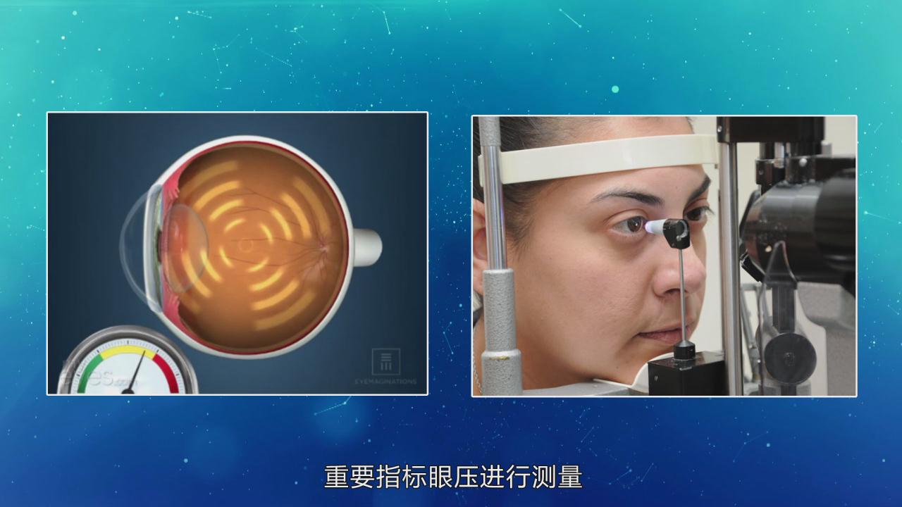 &#20339;&#21338;&#23448;&#26041;&#32593;&#39029;&#29256;&#45;&#20339;&#21338;&#65288;&#20013;&#22269;&#65289;
