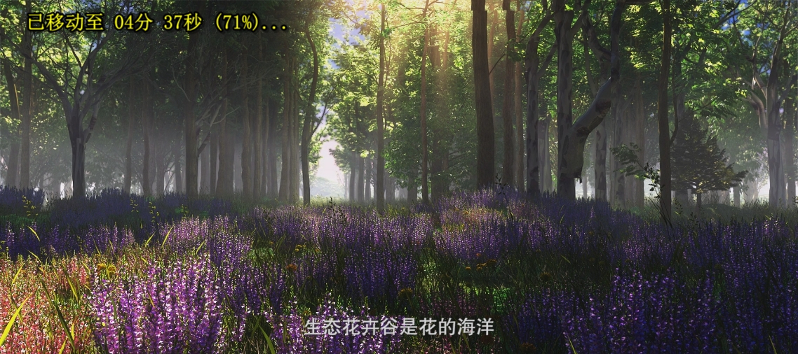 &#20339;&#21338;&#23448;&#26041;&#32593;&#39029;&#29256;&#45;&#20339;&#21338;&#65288;&#20013;&#22269;&#65289;
